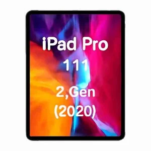 iPad Pro 11" 2nd Gen (2020)